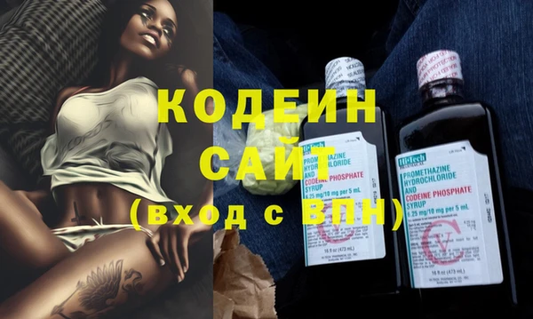эйфоретик Бородино