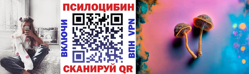 продажа наркотиков  Новосокольники  Галлюциногенные грибы прущие грибы 